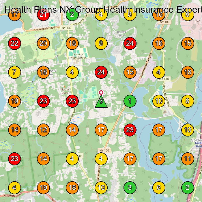 Health Plans NY Group Health Insurance Experts New York Health Insurance Agency GeoGrid ranking map for Somers NY